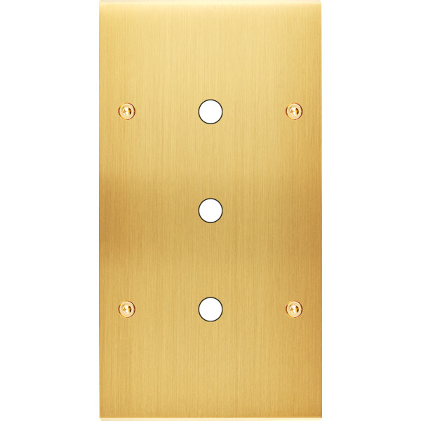 Façade Confidence Laiton Satiné double verticale 3 PUSH à vis (163-419) - Modelec - 163419