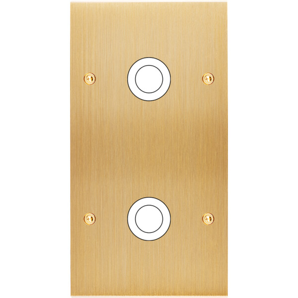 Façade Confidence Laiton double verticale 2 gros PUSH à vis (168-410) - Modelec - 168410