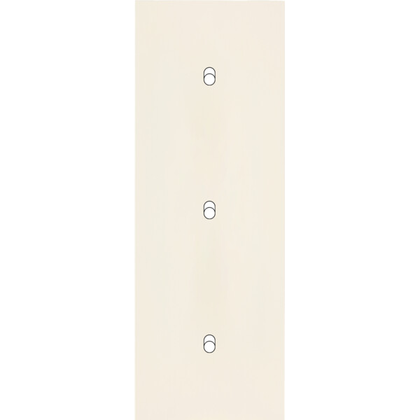 Façade Désir Ivoire Mat Triple Verticale B1 B1 B1 - Modelec - 353821