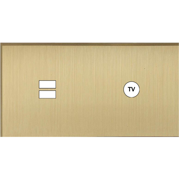 Façade Empreintes ANGLE Laiton Satiné Double Horizontale Chargeur USB Prise TV M - Modelec - 257479M-E2
