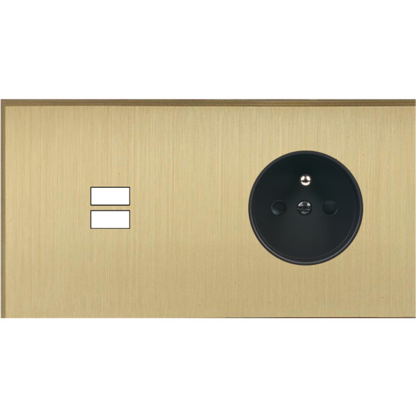 Façade Empreintes ANGLE Laiton Satiné Double Horizontale Chargeur USB PC M - Modelec - 295479M-E2