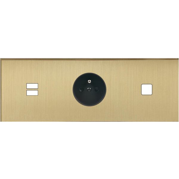 Façade Empreintes ANGLE Laiton Sat Triple Horizontale Chargeur USB PC 1 bouton M - Modelec - 343479M-E2