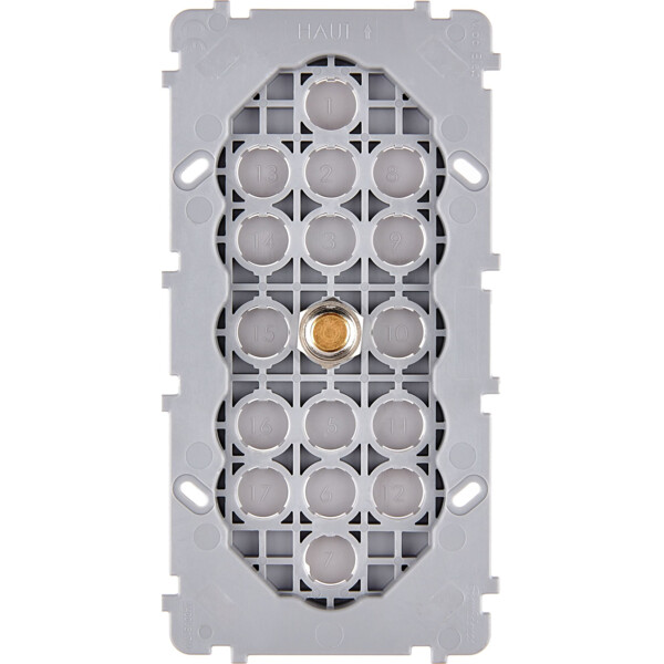 Mécanisme Doré double verticale 1 poussoir PUSH (074-241G) - Modelec - 074241G