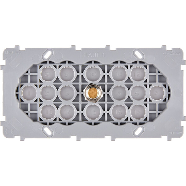 Mécanisme Doré double horizontale 1 poussoir PUSH (074-341G) - Modelec - 074341G