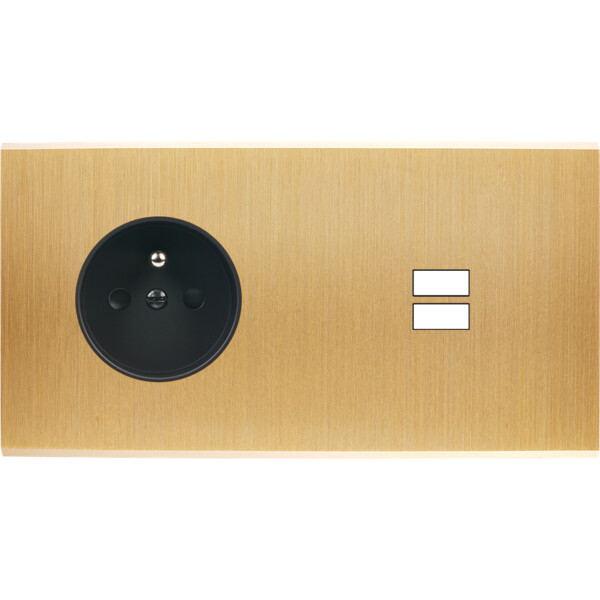 Façade confidence laiton brossé double horizontale prise de courant 2p+t ouverture pour chargeur double usb  - Modelec - 259410M