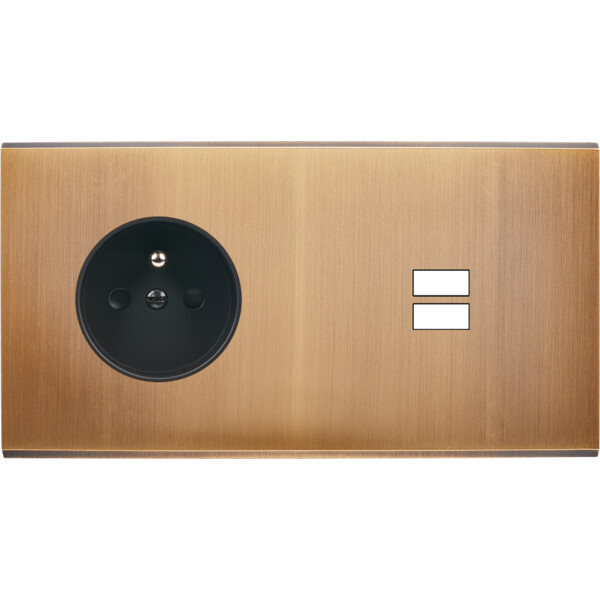 Façade confidence laiton vieux bronze double horizontale prise de courant 2p+t ouverture pour chargeur double usb  - Modelec - 259417M