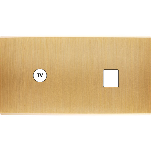 Façade Confidence Laiton Brossé double horizontale PC 1 prise TV (273-410M) - Modelec - 273410M