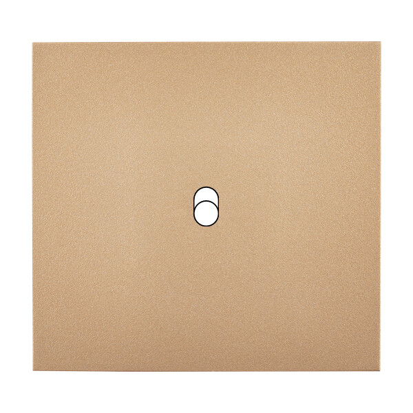 Façade désir doré mat simple b1 - Modelec - 131824