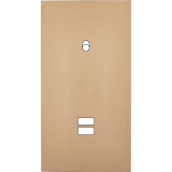 Façade désir doré mat double verticale b1 u1  - Modelec - 293824