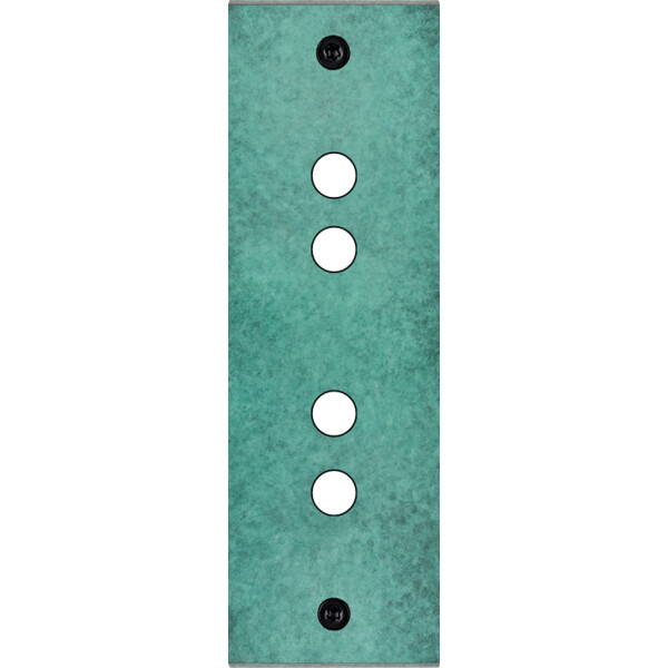 Façade fascination laiton jade etroite longue 4 boutons poussoir push à vis - Modelec - 124434