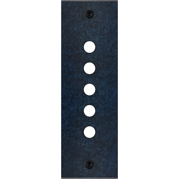 Façade fascination laiton ombre etroite longue 5 boutons poussoir push à vis - Modelec - 125439