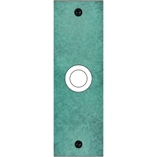 Façade fascination laiton jade etroite longue 1 gros bouton poussoir push à vis - Modelec - 128434