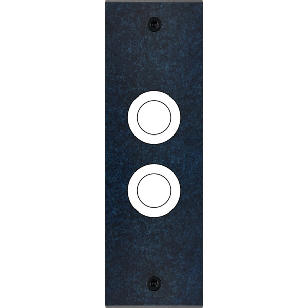 Façade fascination laiton ombre etroite longue 2 gros bouton poussoir push à vis - Modelec - 129439