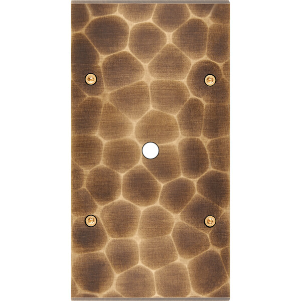 Façade fascination laiton onde double verticale 1 bouton poussoir push à vis - Modelec - 161432