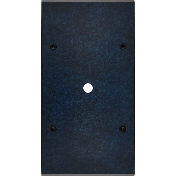 Façade fascination laiton ombre double verticale 1 bouton poussoir push à vis - Modelec - 161439