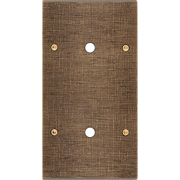Façade fascination laiton coslan double verticale 1 bouton poussoir push 1 bouton poussoir push à vis - Modelec - 162430