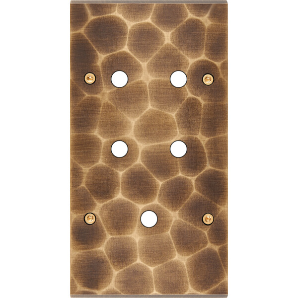 Façade fascination laiton onde double verticale 5 boutons poussoir push à vis - Modelec - 165432