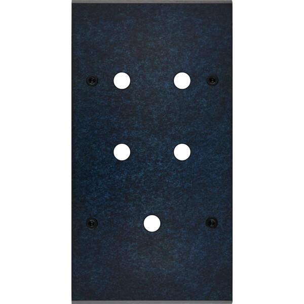 Façade fascination laiton ombre double verticale 5 boutons poussoir push à vis - Modelec - 165439