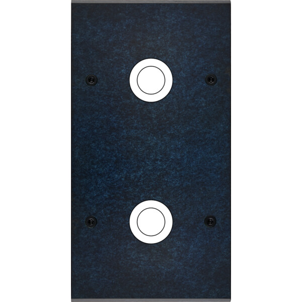 Façade fascination laiton ombre double verticale 2 gros bouton poussoir push à vis - Modelec - 168439