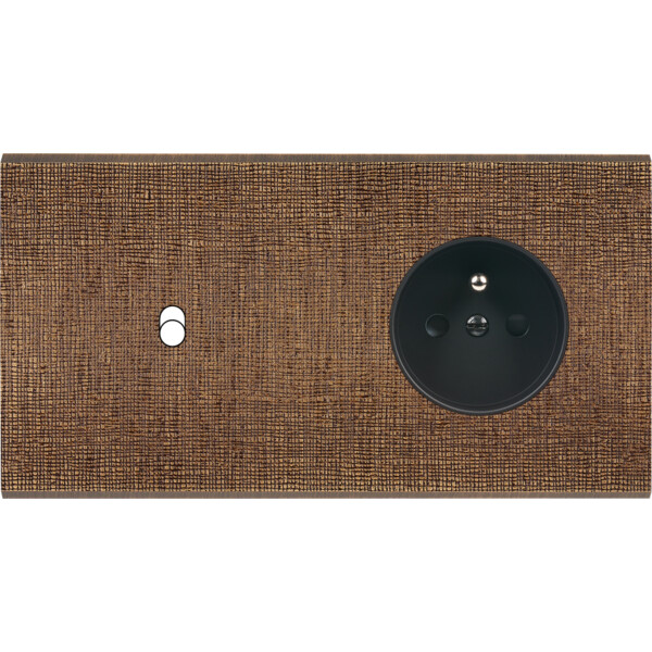 Façade fascination laiton coslan double horizontale 1 basculeur prise 2p+t sans vis - Modelec - 261430M