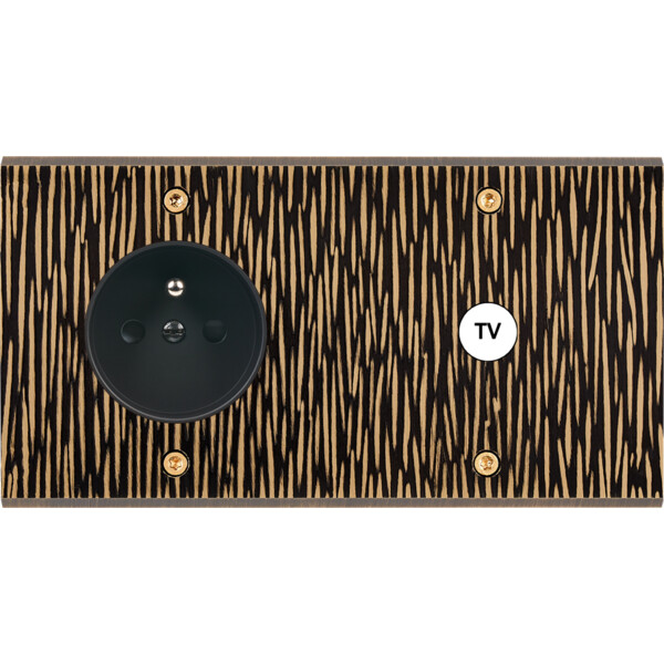 Façade fascination laiton fauve double horizontale prise 2p+t 1 prise tv a vis - Modelec - 279435