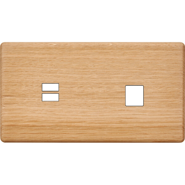 Façade hitera chêne clair double horizontale ouverture pour chargeur double usb 1 média  - Modelec - 256491