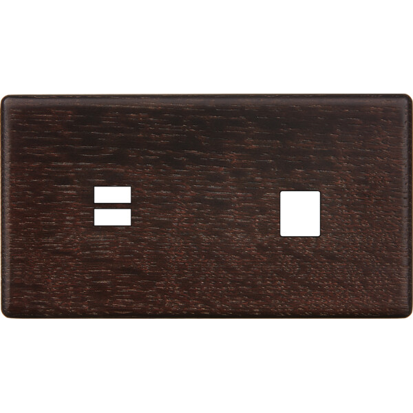 Façade hitera chêne foncé double horizontale ouverture pour chargeur double usb 1 média  - Modelec - 256492
