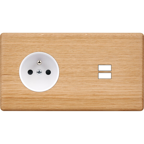 Façade hitera chêne clair double horizontale prise de courant 2p+t ouverture pour chargeur double usb  - Modelec - 259491