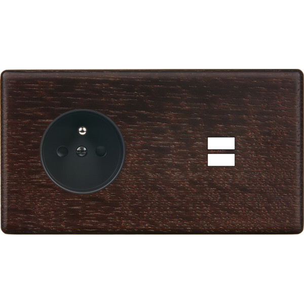 Façade hitera chêne foncé double horizontale prise de courant 2p+t ouverture pour chargeur double usb  - Modelec - 259492
