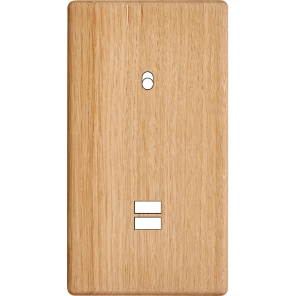 Façade hitera chêne clair double verticale 1 basculeur ouverture pour chargeur double usb  - Modelec - 293491