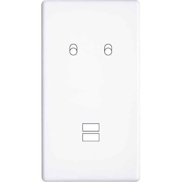 Façade hitera blanc soft touch double verticale 2 basculeurs ouverture pour chargeur double usb  - Modelec - 294481