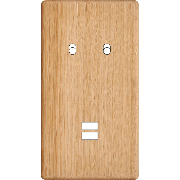 Façade hitera chêne clair double verticale 2 basculeurs ouverture pour chargeur double usb  - Modelec - 294491