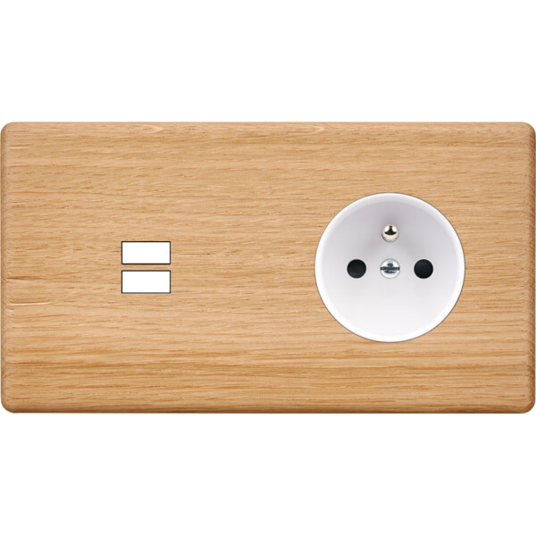 Façade hitera chêne clair double horizontale ouverture pour chargeur double usb prise de courant 2p+t  - Modelec - 295491