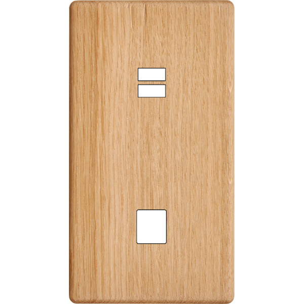 Façade hitera chêne clair double verticale ouverture pour chargeur double usb 1 média  - Modelec - 296491