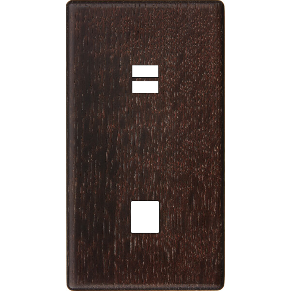 Façade hitera chêne foncé double verticale ouverture pour chargeur double usb 1 média  - Modelec - 296492