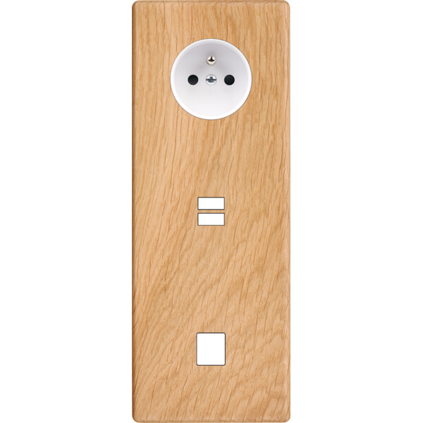 Façade hitera chêne clair triple verticale prise de courant 2p+t ouverture pour chargeur double usb 1 médi - Modelec - 385491