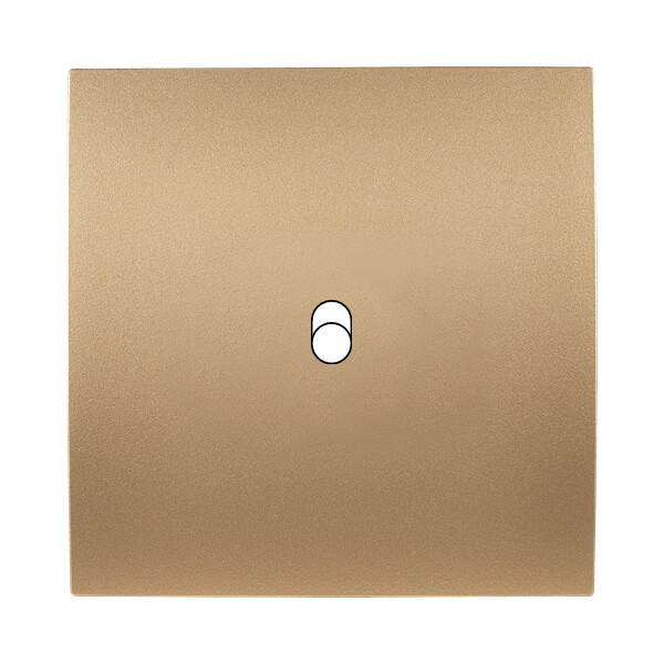 Façade Karo Satin Doré 1 basculeur (131-214) - Modelec - 131214