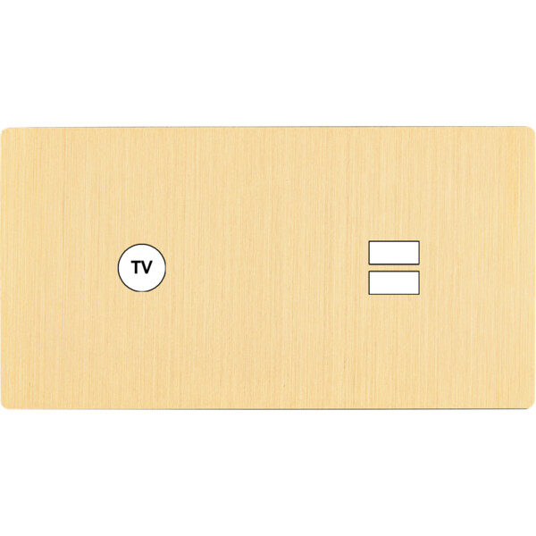 Façade "m" laiton brossé double horizontale 1 prise tv 1 chargeur usb sans vis - Modelec - 255512M