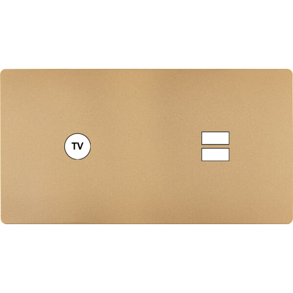 Façade "m" laiton sablé double horizontale 1 prise tv 1 chargeur usb sans vis - Modelec - 255532M