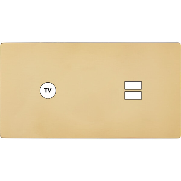 Façade "m" laiton verni double horizontale 1 prise tv 1 chargeur usb sans vis - Modelec - 255542M