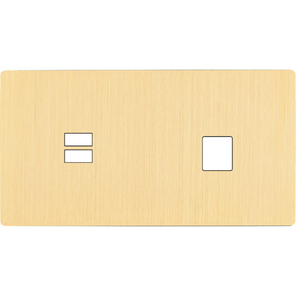 Façade "m" laiton brossé double horizontale 1 chargeur usb 1 media sans vis - Modelec - 256512M