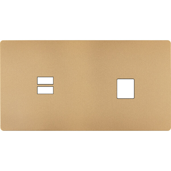 Façade "m" laiton sablé double horizontale 1 chargeur usb 1 media sans vis - Modelec - 256532M