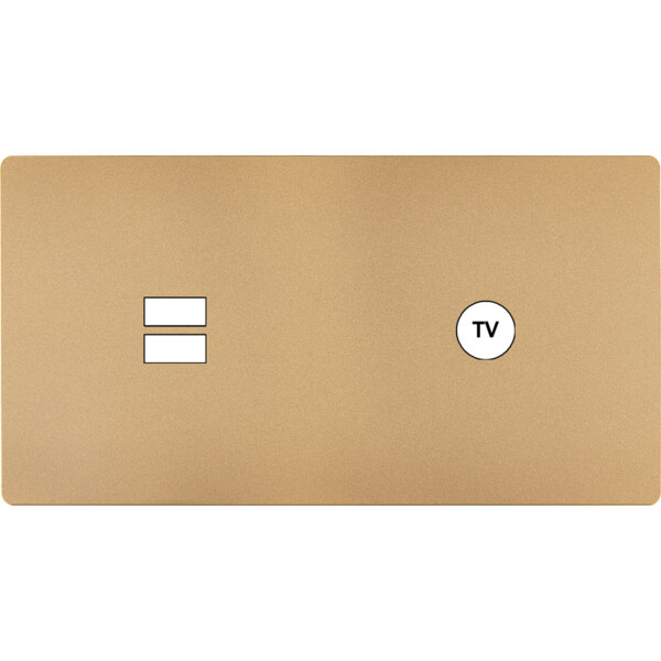 Façade "m" laiton sablé double horizontale 1 chargeur usb 1 prise tv sans vis - Modelec - 257532M