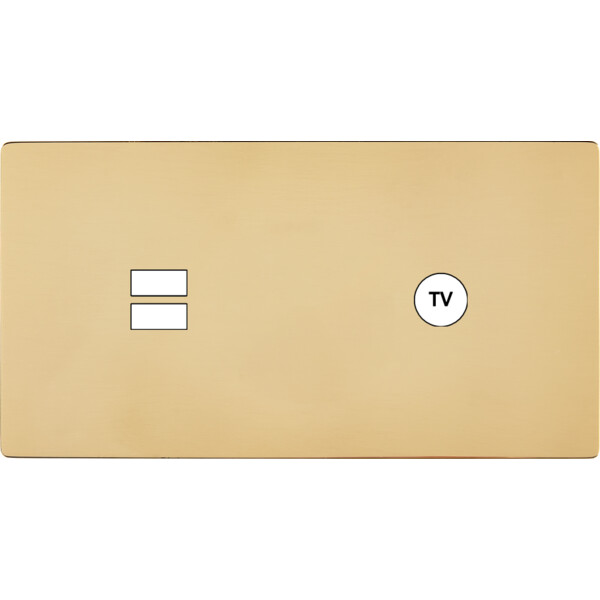 Façade "m" laiton verni double horizontale 1 chargeur usb 1 prise tv sans vis - Modelec - 257542M