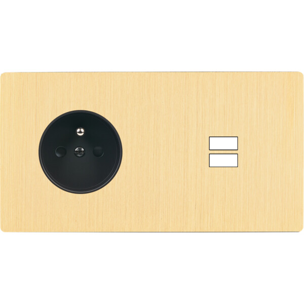 Façade "m" laiton brossé double horizontale 1 prise 1 chargeur usb sans vis - Modelec - 259512M