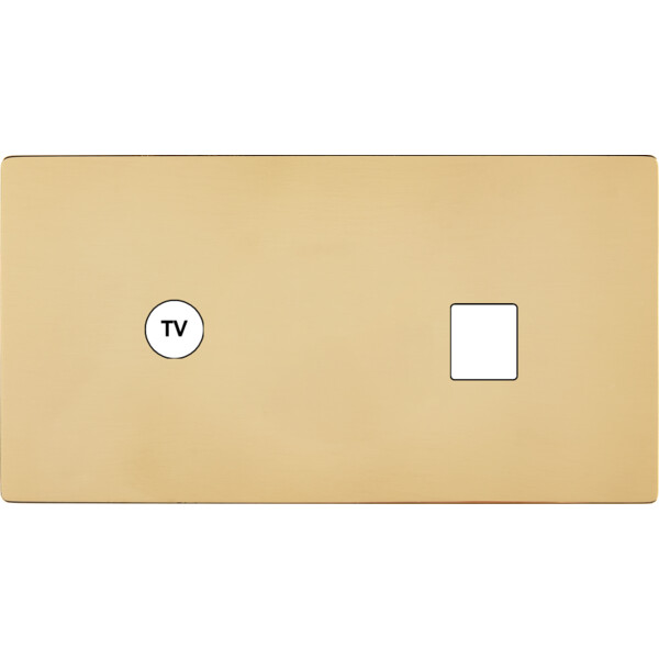 Façade "m" laiton miroir double horizontale 1 prise tv 1 media sans vis - Modelec - 273543M