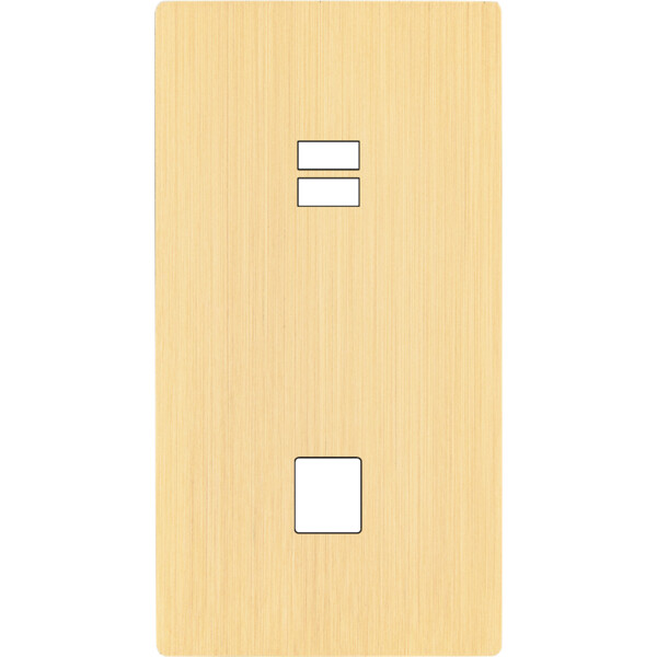 Façade "m" laiton brossé double verticale 1 chargeur usb  sans vis - Modelec - 296512M