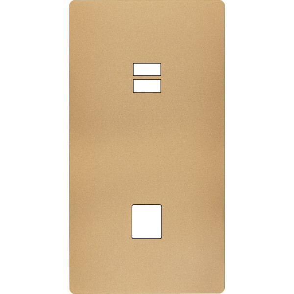 Façade "m" laiton sablé double verticale 1 chargeur usb  sans vis - Modelec - 296532M