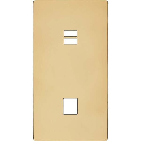 Façade "m" laiton miroir double verticale 1 chargeur usb  sans vis - Modelec - 296543M