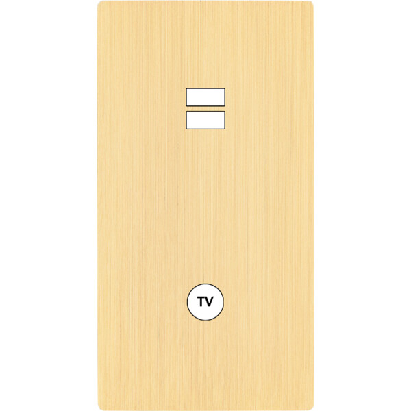 Façade "m" laiton brossé double verticale 1 chargeur usb  sans vis - Modelec - 297512M